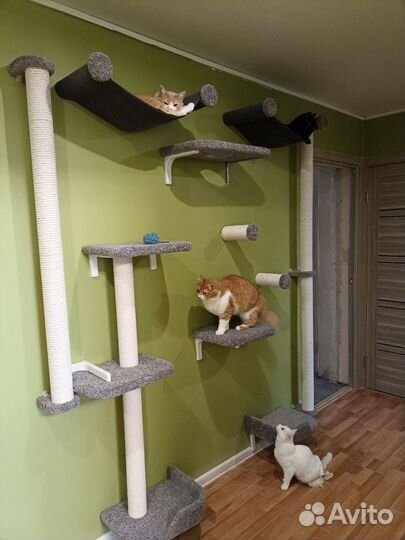 Комплекс для нескольких кошек 