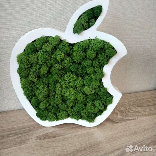 Apple яблоко, озелененное мхом. Фитопанно из мха