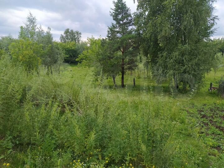 Участок 12,5 сот. (ИЖС)