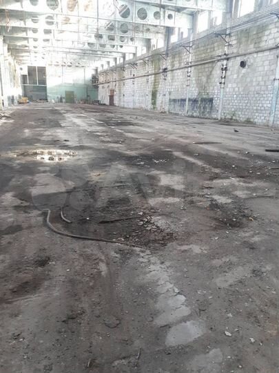 Склад, 10000 м²