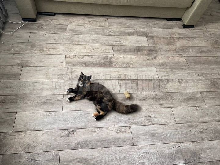 1-к. квартира, 18,9 м², 1/5 эт.