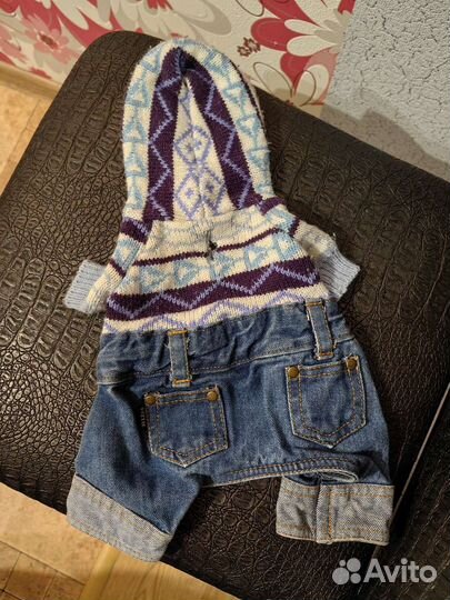 Костюм для щенка йорка