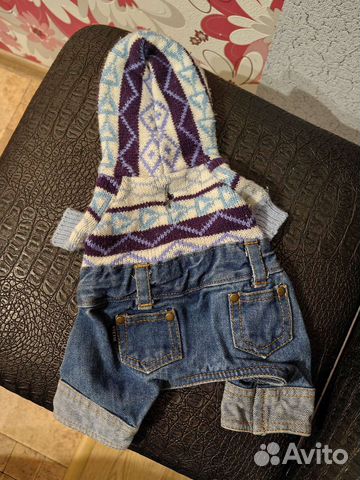 Костюм для щенка йорка