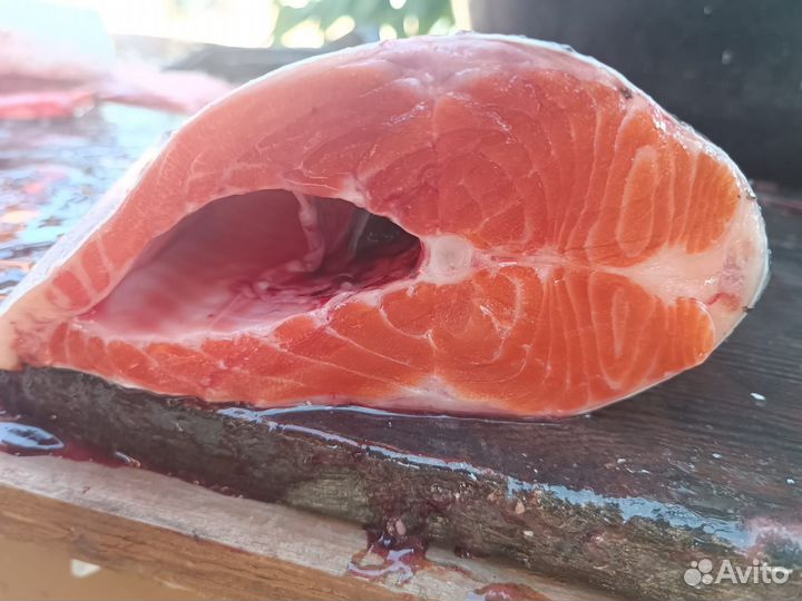 Форель свежая привоз 25 мая