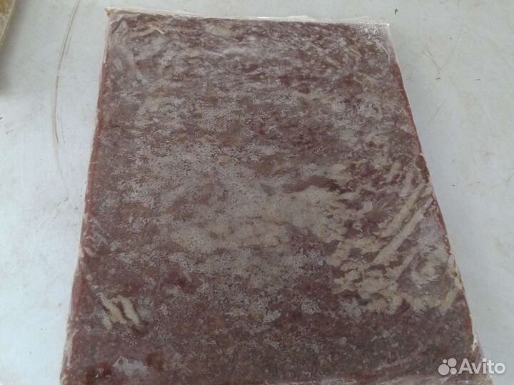 Мотыль,стрептоцифал,артемия,циклоп,коретра,дафния