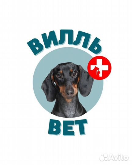 Ветеринарный врач