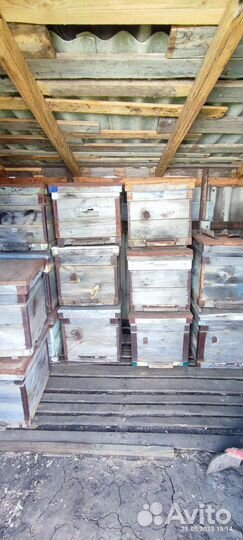 Ульи для пчел