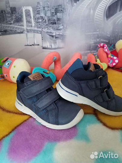 Ботинки демисезонные ecco