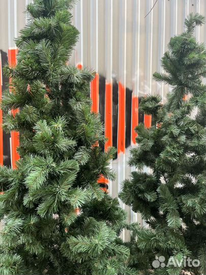 Сосна искусственная