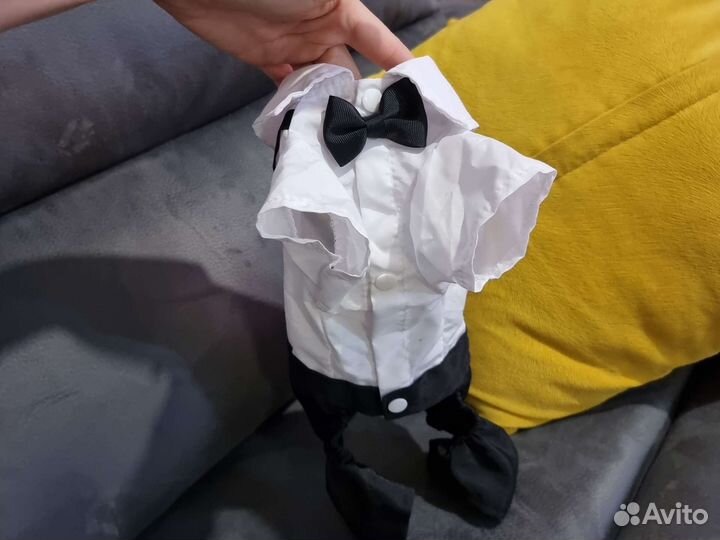 Костюм для кошки/собачки