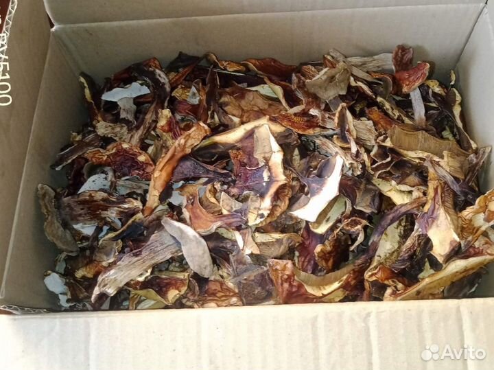 Грибы белые сушеные, красноголовики