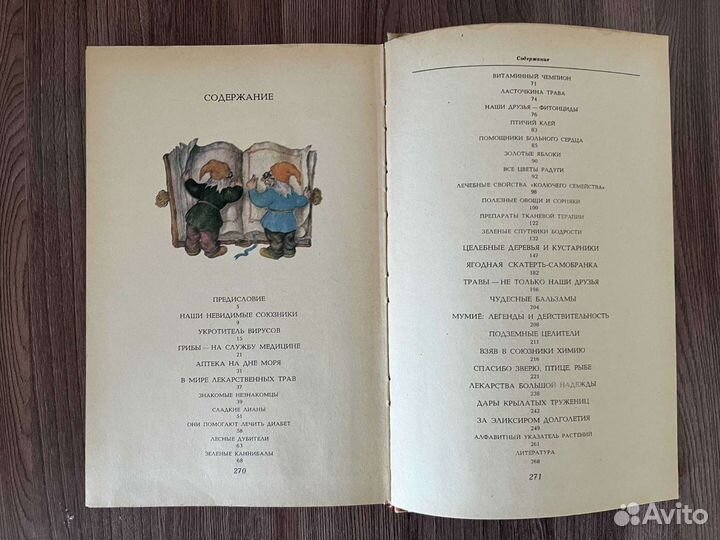 В.И. Мурох. Целебные кладовые природы