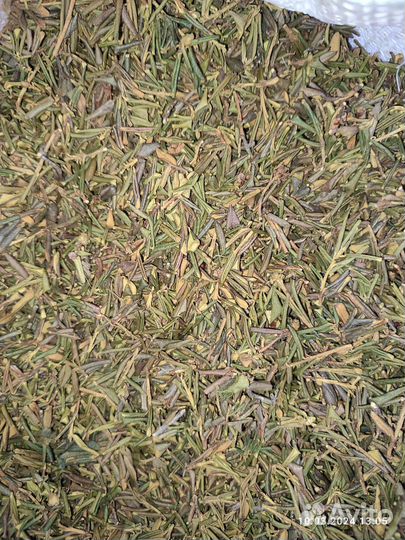 Саган дайля