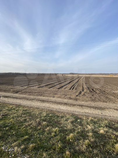 Участок 50 сот. (СНТ, ДНП)