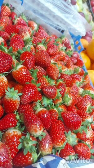 Клубника свежая