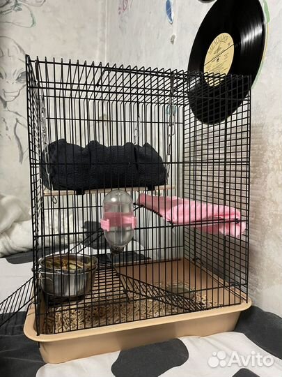 Клетка для грызунов