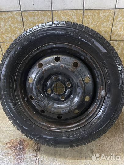 Nokian Tyres Hakkapeliitta R 175/55 R15