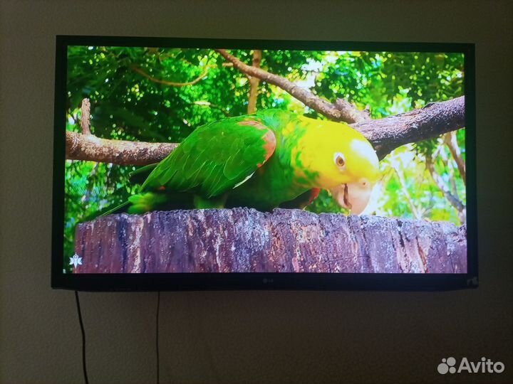 Плазменный тв 50