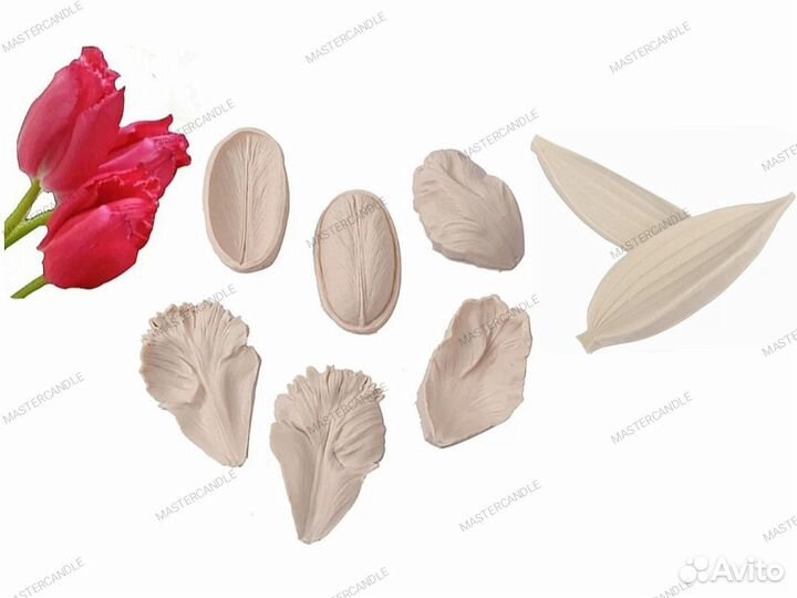 Вайнеры цветы тюльпана