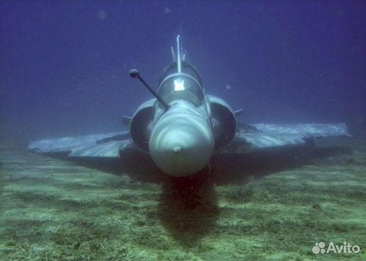 Чистка аквариумов и прудов любой сложности. Подбор