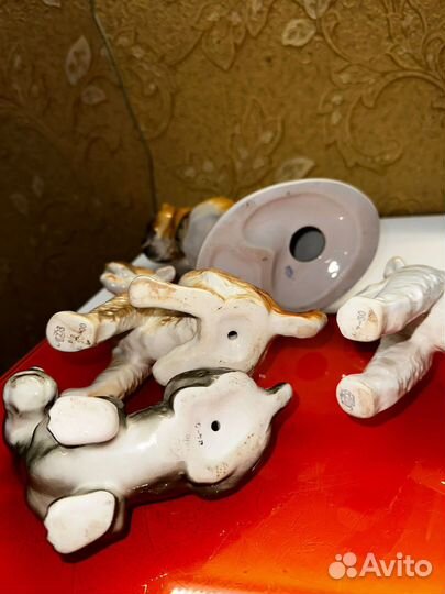 Собаки лфз СССР