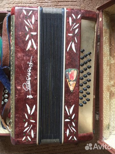 Гармонь Весна