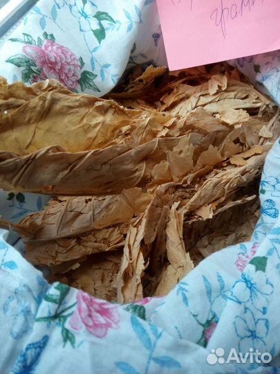 Листья крепкие. 5 лет