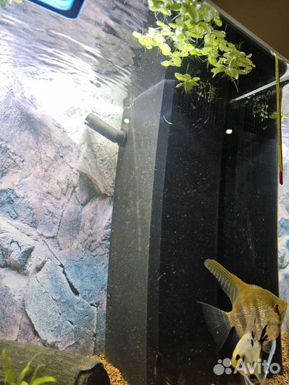 Немецкий аквариум juwel RIO 125 LED б/у