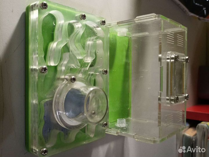 Муравейник