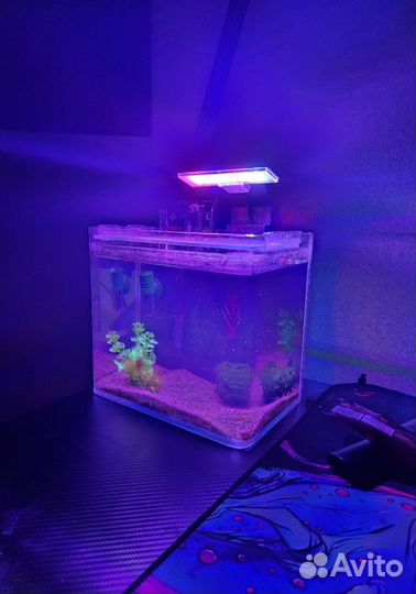 Аквариум