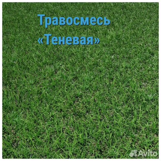 Газонные смеси с бесплатной доставкой по Крыму