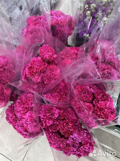 Гвоздика оптом