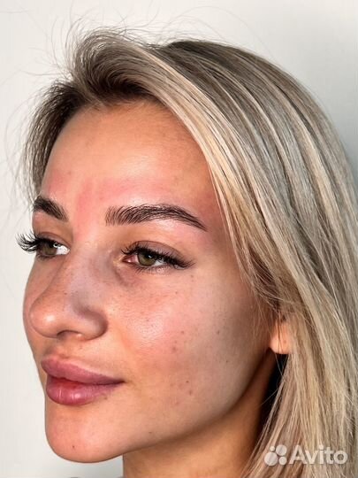 Обучение курс Бровист