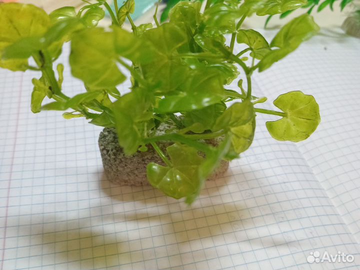 Водоросли для аквариума (не живые)