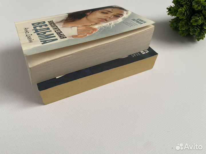 Книга Влюбленная ведьма, Восхитительная ведьма