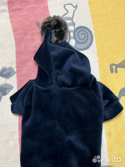 Одежда для собак