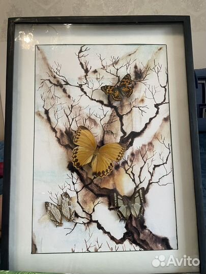 Картина с натуральными бабочками
