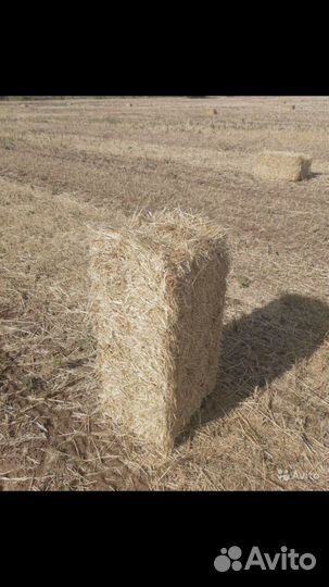 Солома ячменная в тюках