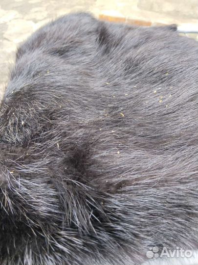 Шкурка нутрии