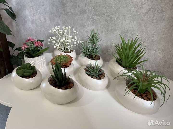 Суккуленты искусственная зелень