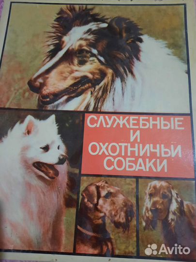 Коллеционная этикетка