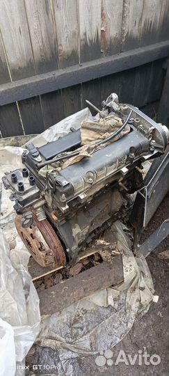 Двигатель ford focus 2 1.6 115 л с hxda