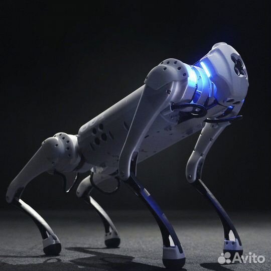 Шоу роботов Robdog