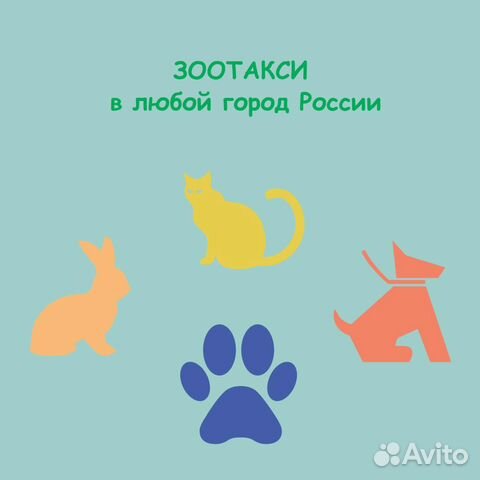 Зоотакси по России