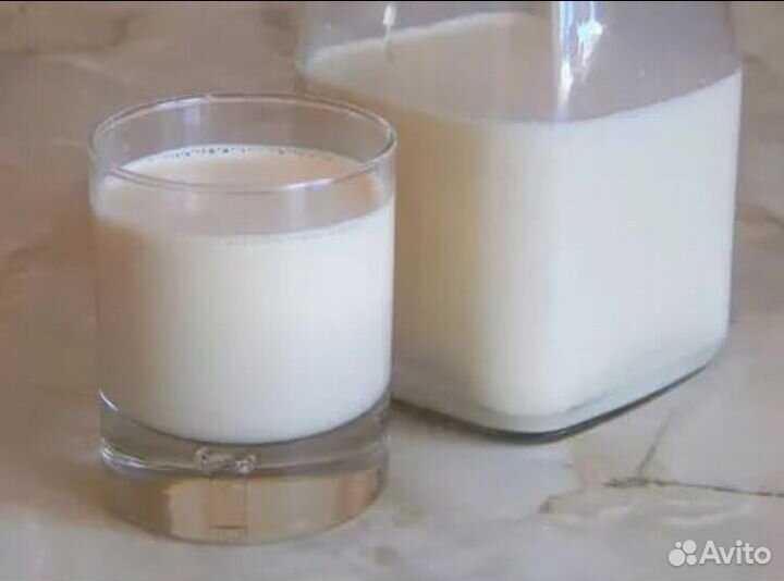 Парное Фермерское Молоко и молочные продукты