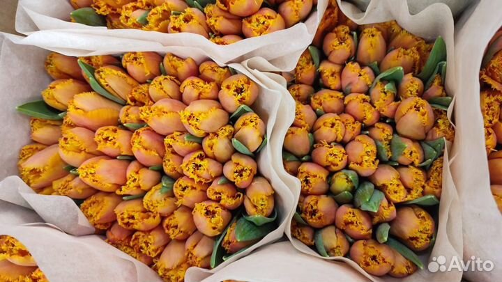 Цветы оптом тюльпаны Донецк