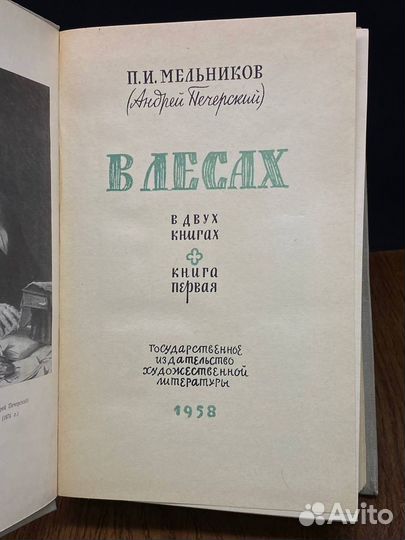 В лесах. Книга 1