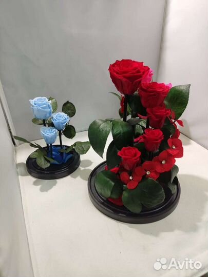 Роза в колбе