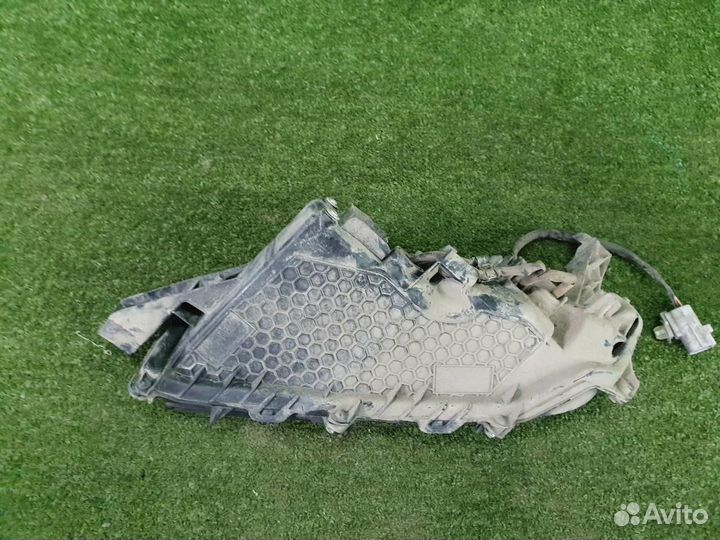 Птф правая Lexus RX 4 (2019-н.в.)