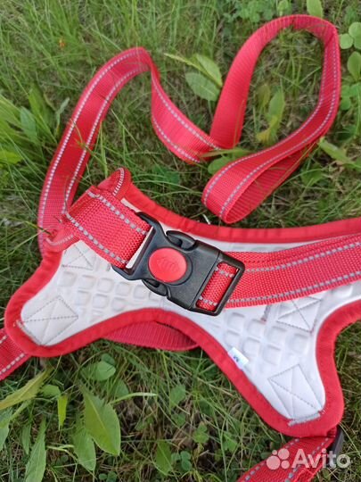 Шлейка прогулочная с поводком для кошек и собак